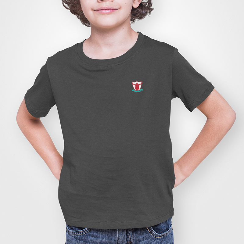 Liverpool FC Charcoal Childrens T-Shirt, 100% Cotton, Short-Sleeve, Embroidered TheKop Logo