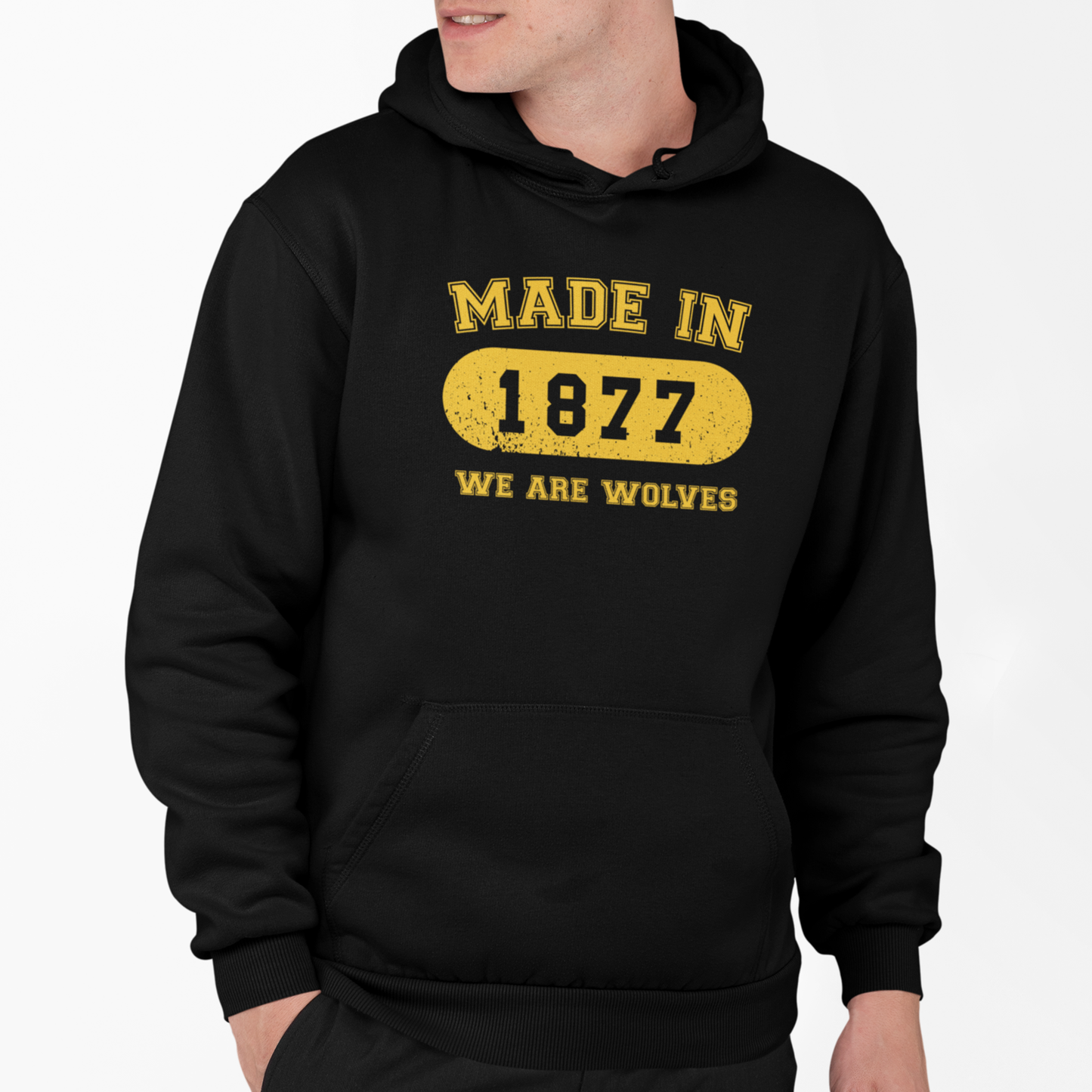 Made in 1877 Hoodie