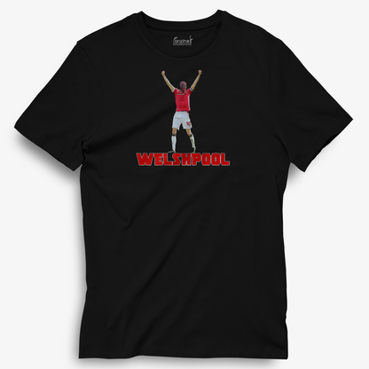 Welshpool T-Shirt