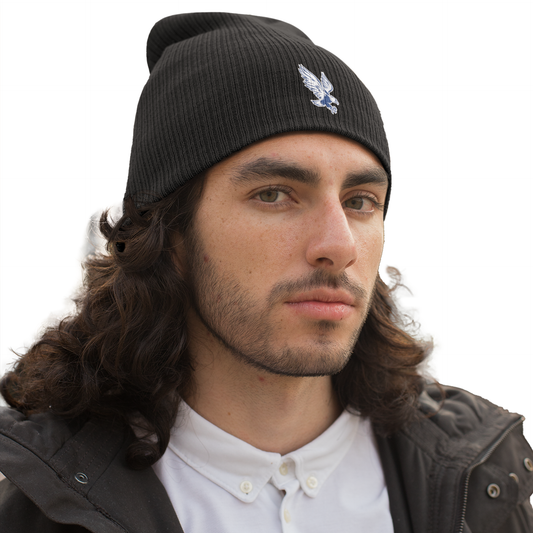 PalaceEagles Slouch Beanie