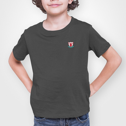 Liverpool FC Charcoal Childrens T-Shirt, 100% Cotton, Short-Sleeve, Embroidered TheKop Logo