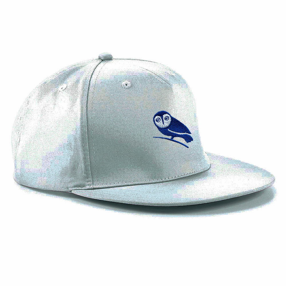 Wednesdayites Snapback