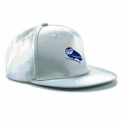Wednesdayites Snapback