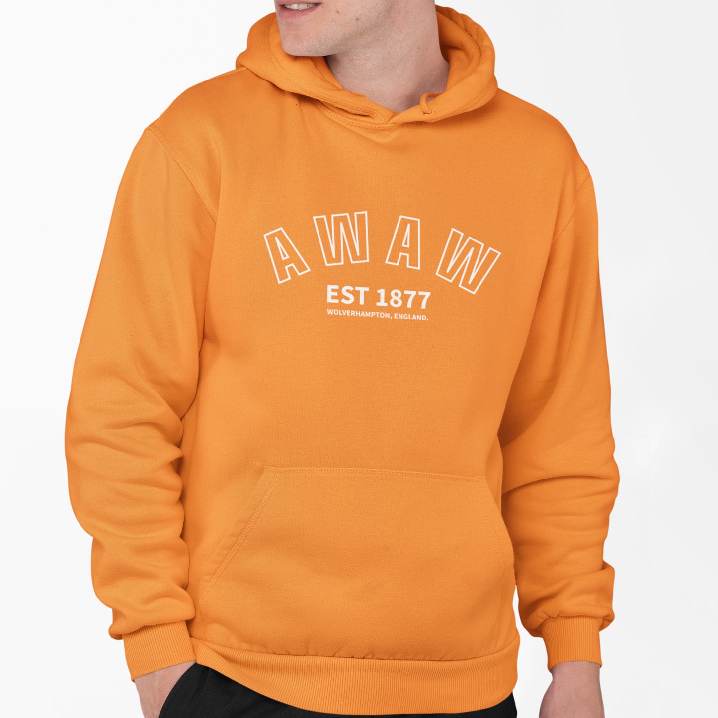 AWAW 1877 Hoodie